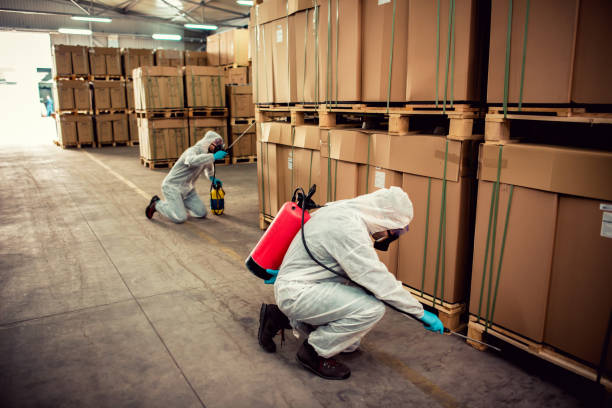 Best Rat Extermination Near Me  in Rowland Heights, CA