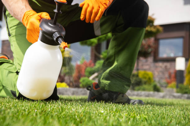 Best Insect Control  in Rowland Heights, CA