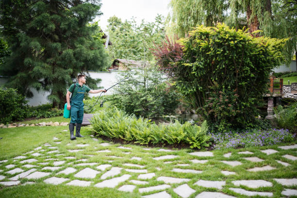 Best Best Pest Control Companies  in Rowland Heights, CA