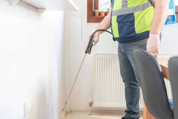 Best Local Pest Control Services  in Rowland Heights, CA