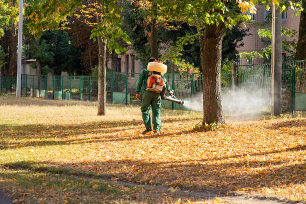 Reliable Rowland Heights, CA Pest Control Solutions