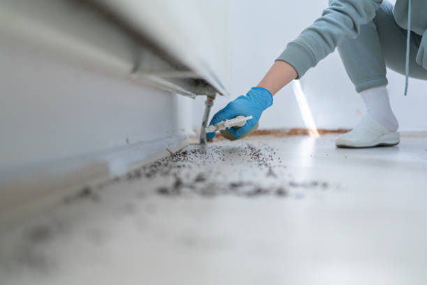 Best Pest Removal Services  in Rowland Heights, CA
