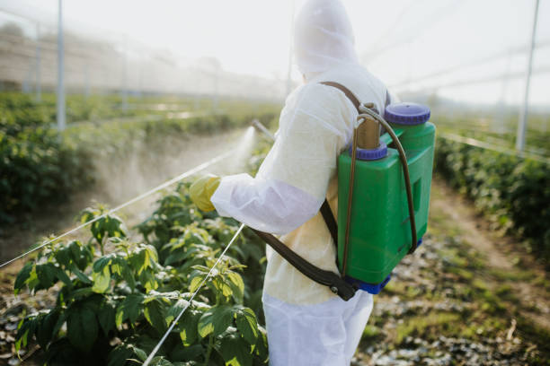 Best Emergency Pest Control  in Rowland Heights, CA